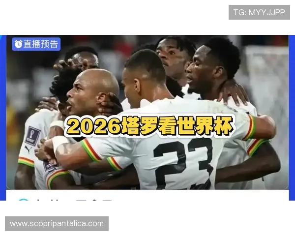 世界杯加纳巴拿马竞猜注意事项详解帮助玩家提升竞猜成功率