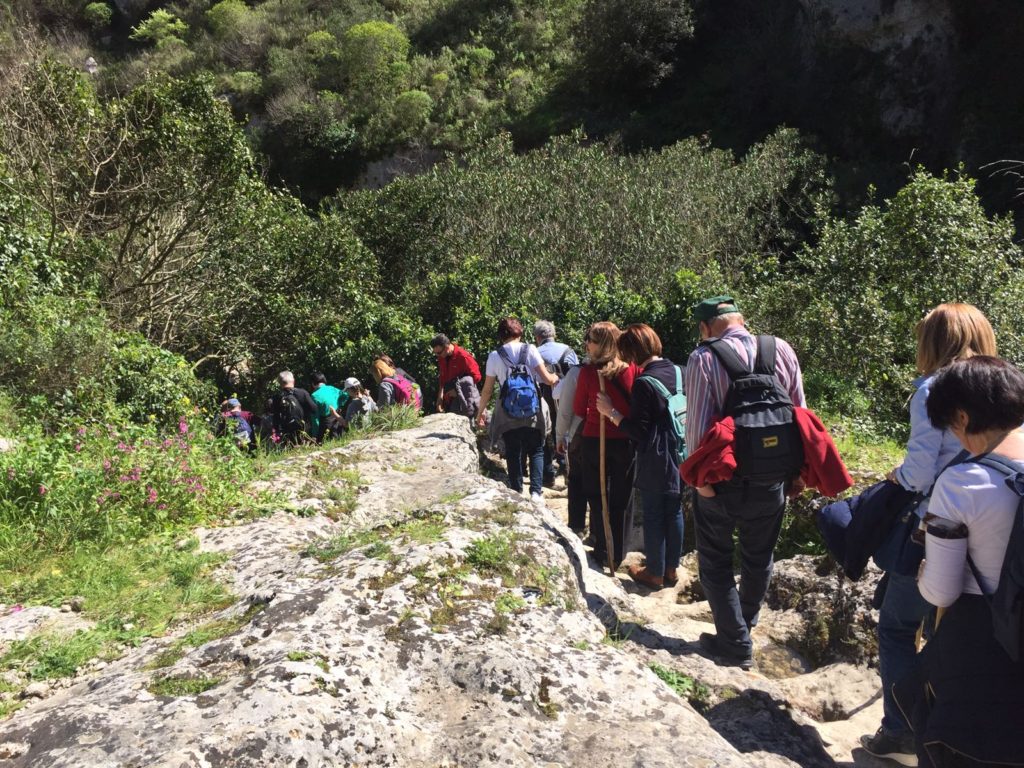 Escursioni Pantalica, Escursioni guidate a Pantalica